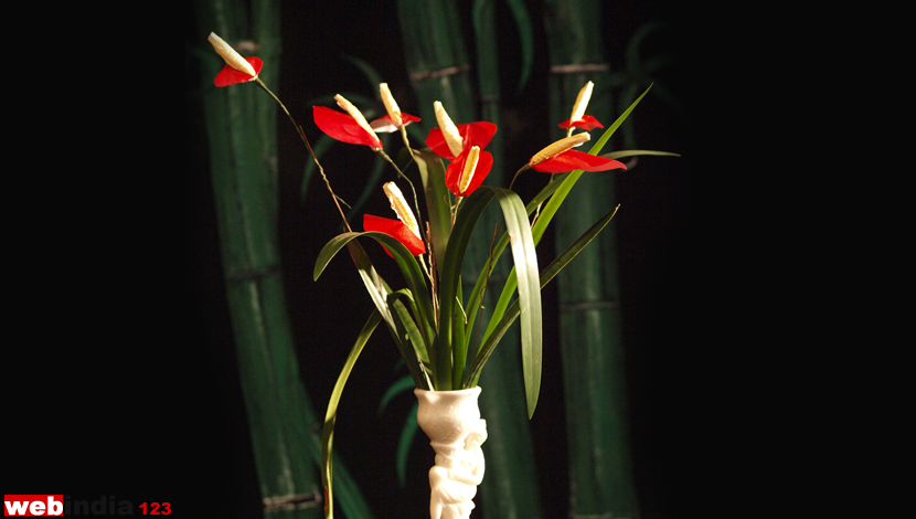 Paper Anthurium