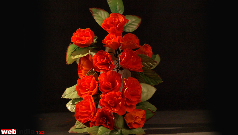 Orange Lisianthus Flower